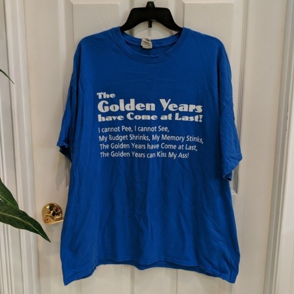 Gildan Men's Blue Short Sleeve Graphic Funny Sarcastic Tee Size 2XL